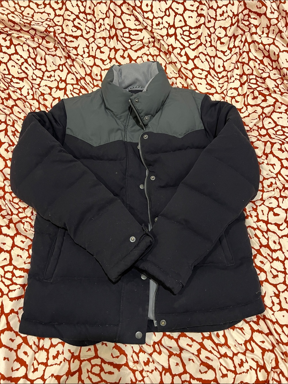 Patagonia Bivy Down Puffer Jacket
